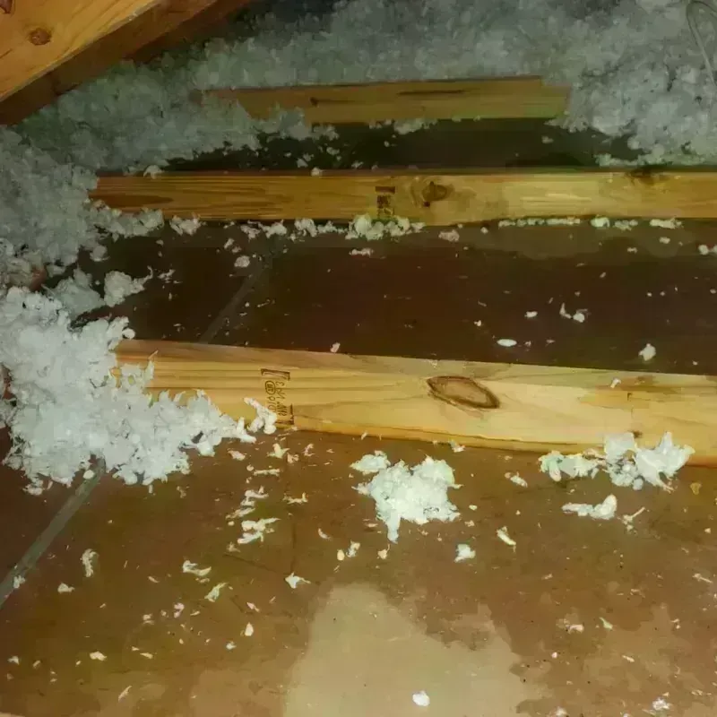 Attic Water Damage in Madison, AL