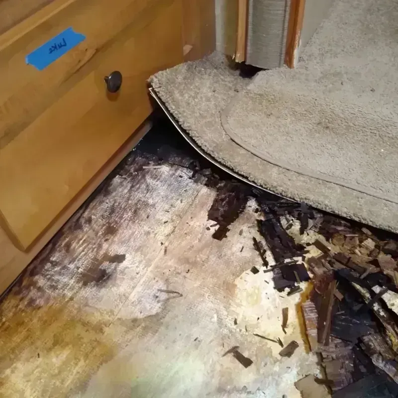 Wood Floor Water Damage in Madison, AL